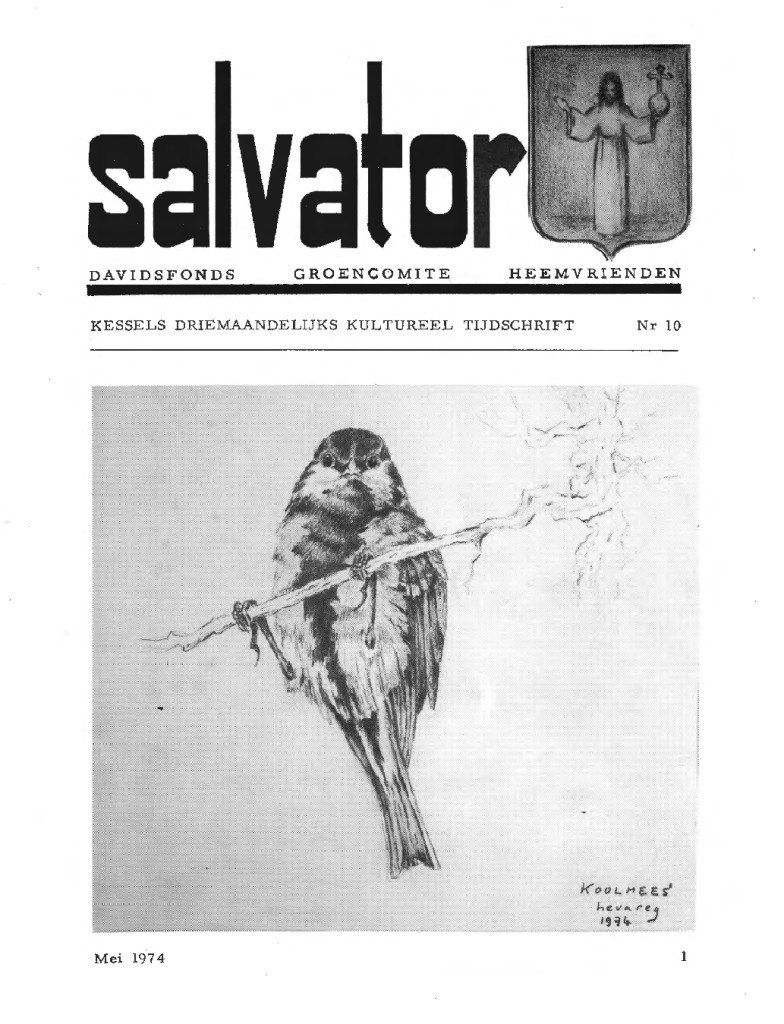 Salvator 10