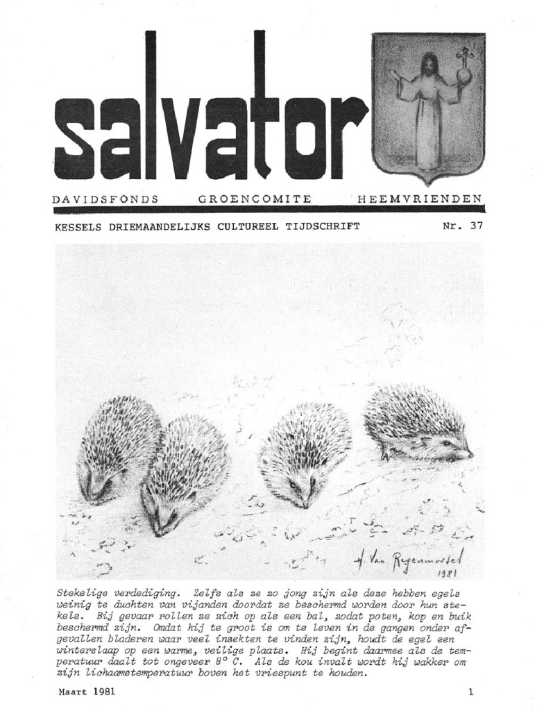 Salvator 37